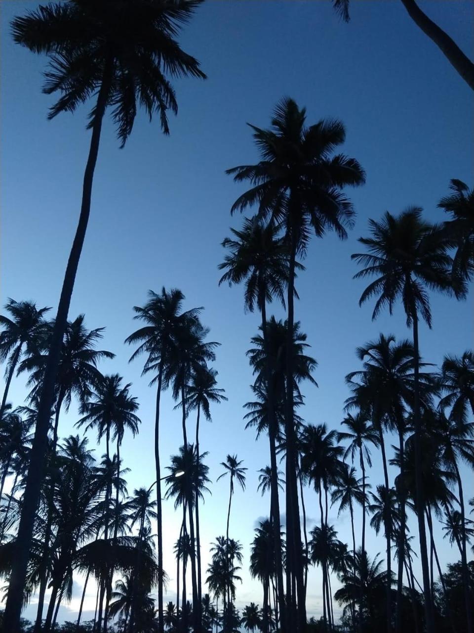 Hotel D'Anatureza Maceio Dış mekan fotoğraf